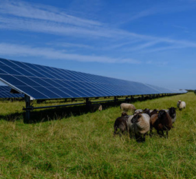 Agrivoltaics Pilot Project Case Studies Conference 2026